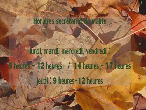 feuille_automne